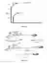 Fig. 11 - RM2 antigens and use thereof