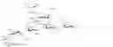 Fig. 110 - RM2 antigens and use thereof