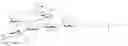 Fig. 115 - RM2 antigens and use thereof