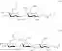 Fig. 116 - RM2 antigens and use thereof