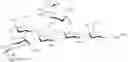 Fig. 117 - RM2 antigens and use thereof