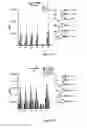 Fig. 12 - RM2 antigens and use thereof