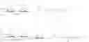 Fig. 124 - RM2 antigens and use thereof