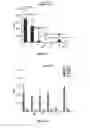 Fig. 13 - RM2 antigens and use thereof