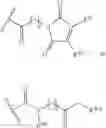 Fig. 136 - RM2 antigens and use thereof