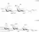 Fig. 138 - RM2 antigens and use thereof