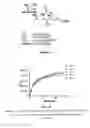 Fig. 16 - RM2 antigens and use thereof