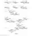 Fig. 20 - RM2 antigens and use thereof