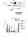 Fig. 21 - RM2 antigens and use thereof