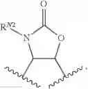 Fig. 23 - RM2 antigens and use thereof