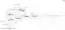 Fig. 80 - RM2 antigens and use thereof