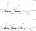 Fig. 89 - RM2 antigens and use thereof