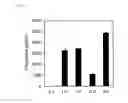 Fig. 08 - Uses of partial peptides of survivin and variations thereof