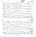 Fig. 08 - PROTECTIVE ANTIGEN COMPLEXES WITH INCREASED STABILITY AND USES THEREOF