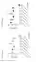 Fig. 08 - COMBINATION IMMUNOGENIC COMPOSITIONS