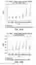 Fig. 10 - Methods of immunization with varicella zoster virus antigen
