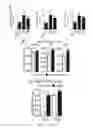 Fig. 03 - Immunoadjuvant Compositions and uses Thereof