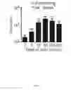 Fig. 05 - Immunoadjuvant Compositions and uses Thereof