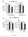 Fig. 07 - Immunoadjuvant Compositions and uses Thereof