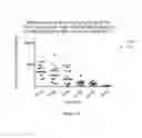 Fig. 17 - Deletion Mutants of Flagellin and Methods of Use