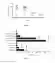 Fig. 34 - Deletion Mutants of Flagellin and Methods of Use