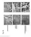 Fig. 08 - Identification of Surface-Associated Antigens for Tumor Diagnosis and Therapy
