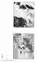 Fig. 19 - Identification of Surface-Associated Antigens for Tumor Diagnosis and Therapy