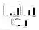 Fig. 04 - MUCOUS LAYER-ADHESIVE POLY-r-GLUTAMIC ACID NANOMICELLES AND DRUG DELIVERY SYSTEM USING SAME