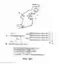 Fig. 119 - FACTOR VIII: REMODELING AND GLYCOCONJUGATION OF FACTOR VIII