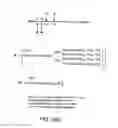 Fig. 125 - FACTOR VIII: REMODELING AND GLYCOCONJUGATION OF FACTOR VIII