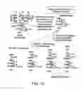 Fig. 16 - FACTOR VIII: REMODELING AND GLYCOCONJUGATION OF FACTOR VIII