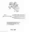 Fig. 167 - FACTOR VIII: REMODELING AND GLYCOCONJUGATION OF FACTOR VIII