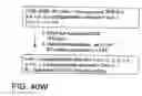 Fig. 172 - FACTOR VIII: REMODELING AND GLYCOCONJUGATION OF FACTOR VIII