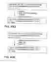 Fig. 187 - FACTOR VIII: REMODELING AND GLYCOCONJUGATION OF FACTOR VIII
