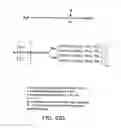 Fig. 189 - FACTOR VIII: REMODELING AND GLYCOCONJUGATION OF FACTOR VIII
