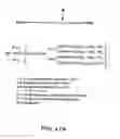 Fig. 216 - FACTOR VIII: REMODELING AND GLYCOCONJUGATION OF FACTOR VIII