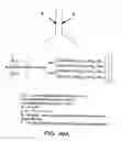 Fig. 227 - FACTOR VIII: REMODELING AND GLYCOCONJUGATION OF FACTOR VIII