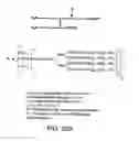 Fig. 236 - FACTOR VIII: REMODELING AND GLYCOCONJUGATION OF FACTOR VIII