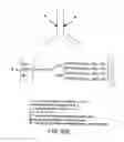 Fig. 248 - FACTOR VIII: REMODELING AND GLYCOCONJUGATION OF FACTOR VIII