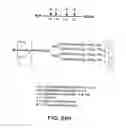 Fig. 254 - FACTOR VIII: REMODELING AND GLYCOCONJUGATION OF FACTOR VIII