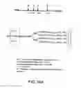 Fig. 266 - FACTOR VIII: REMODELING AND GLYCOCONJUGATION OF FACTOR VIII