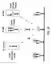 Fig. 29 - FACTOR VIII: REMODELING AND GLYCOCONJUGATION OF FACTOR VIII