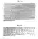 Fig. 298 - FACTOR VIII: REMODELING AND GLYCOCONJUGATION OF FACTOR VIII