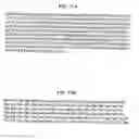 Fig. 311 - FACTOR VIII: REMODELING AND GLYCOCONJUGATION OF FACTOR VIII