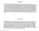 Fig. 332 - FACTOR VIII: REMODELING AND GLYCOCONJUGATION OF FACTOR VIII