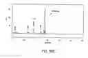 Fig. 386 - FACTOR VIII: REMODELING AND GLYCOCONJUGATION OF FACTOR VIII