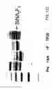 Fig. 420 - FACTOR VIII: REMODELING AND GLYCOCONJUGATION OF FACTOR VIII