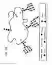 Fig. 430 - FACTOR VIII: REMODELING AND GLYCOCONJUGATION OF FACTOR VIII