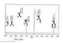 Fig. 440 - FACTOR VIII: REMODELING AND GLYCOCONJUGATION OF FACTOR VIII