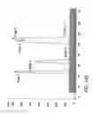 Fig. 447 - FACTOR VIII: REMODELING AND GLYCOCONJUGATION OF FACTOR VIII
